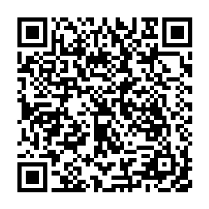 江帆和黄文娟带着儿子江凌君和仆人郭疯子到了修仙界与人界屏障之处二维码生成