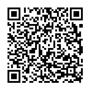 江帆在薄片里面的精神意念力立刻注意到里面囊絮海绵状事物出现的微微变化二维码生成