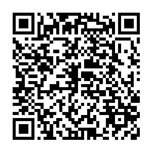 江帆基本上确定自己目前五行元素法则的能力相当于符神界符神圣境界后期二维码生成