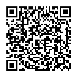 江帆用早就准备好的石头变化成蟠桃放在石桌上替代那些被他拿走的蟠桃二维码生成