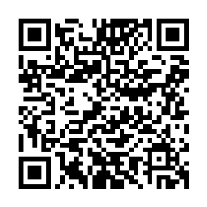 江帆这才注意到黑皮仆兽说的作为封印禁制的核心部位其实不大二维码生成