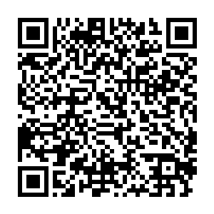 江帆领着一号首长和二号首长在医学院附近找了一家五星级的宾馆二维码生成