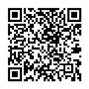 江湖传言狼王叶谦是在四大家族的逼迫之下不得不退出了华夏二维码生成