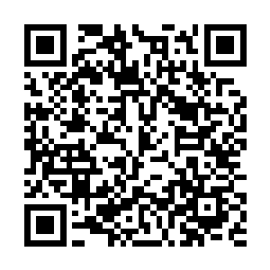 江逸差不多已经和整个地界的大部分超级家族结仇了二维码生成