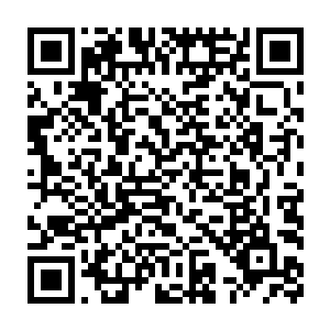 江逸已经打完十场下台和城卫官做了一个简单记录径直朝武殿走去了二维码生成