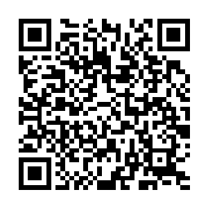 江逸望着远处依稀可见在怒海中翻滚引起万丈巨浪的巨兽二维码生成