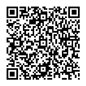 江龙潭就是一条可以随时将你扑倒在地将你的肉一块块的撕扯下来吞进肚子里的狼狗二维码生成
