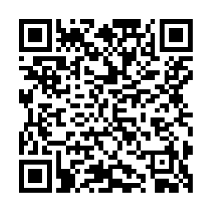汨罗城的城主阿洛斯就和觉罗斯家族的一干亲信大臣赶了过来二维码生成