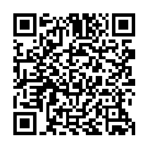 汪大锤和杰西不时的拿崇拜眼神瞟向我一副欲言又止模样二维码生成
