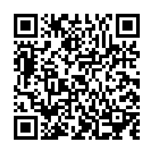 沈丽缇这时本来应该再次抛出林不群是位同志的重型炸弹二维码生成