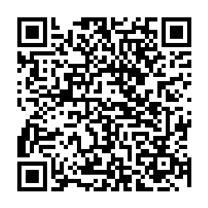 沈佳和卓玛已经将后楚上上下下所有的模块和经济运转模式都摸了个一清二楚二维码生成