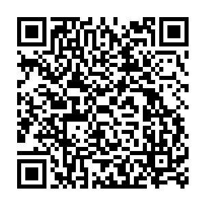 沈凡亲眼见到一条雷鱼模样的光芒从雷鹏巨爪的缝隙之中钻了出来二维码生成