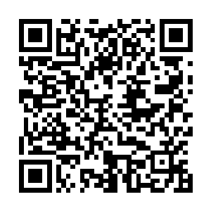 沈凡修炼的金狮狂吼便是从狂狮一族的天赋力量中参悟而来二维码生成