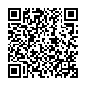 沈凡将他从阎影传授的阵法知识之中的一些技巧传授给各位二维码生成