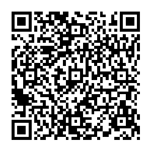 沈凡已经安排花衣将铁血领的众人都搬到了当初沈凡刚刚出现在混沌世界的那座小岛之上二维码生成