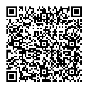 沈凡忽然明白了为了那些无上巨擘势力和无上势力会不惜一切代价拿出底蕴来让弟子参加百域之战二维码生成