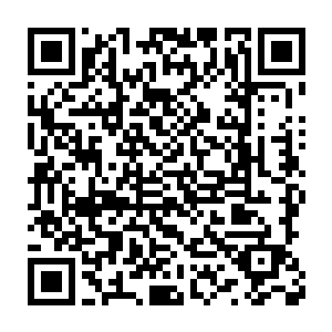 沈凡毫不犹豫的当了冤大头用一百万中品灵石的价格拍下了那块玉简二维码生成