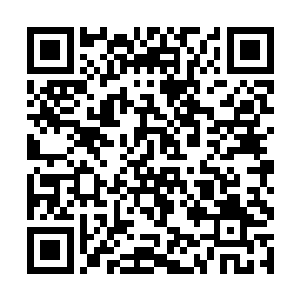 沈凡的元纹真解在彻底悟通之前是不会上交给宗门的二维码生成