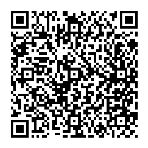 沈子烈显然没有意识到他自己和宋成华等人谈论的猕猴桃种植问题会给自己政治前途带来多么大的变化二维码生成