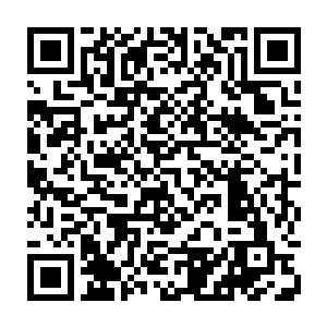 沈清怡却分明的感觉到林放的实力似乎还远远不是自己当日所看到的那样二维码生成