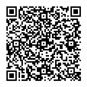 沈青青和罗香凝同时看到被冷冰冰打倒在地刚刚站起脸上还带着几只血红指印略嫌狼狈的蔡元峰二维码生成