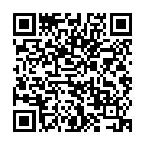 沉睡的时候身体表面形成了一个茧状的壳把它完全的包在了里面二维码生成