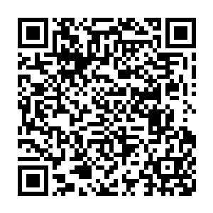 沌来客入驻死亡之海附近的时候……死亡之海内部……似乎有什么东西在动二维码生成