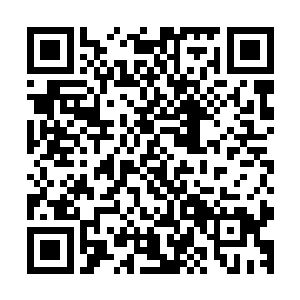 沒错他们在三个小时内不会回來我觉得这是我们最后的机会了二维码生成