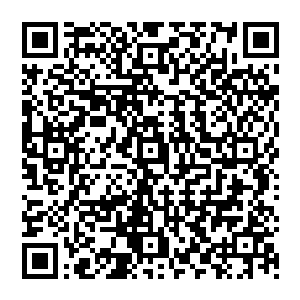 沒错萧风当初就分析过会遇到的种种情况伦敦方面一定会大力拦截要是就凭他们几个根本跑不了二维码生成