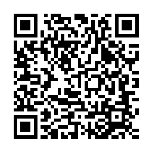 没一会儿的功夫便将这匹红色宝马给用网和绳套了个结结实实二维码生成