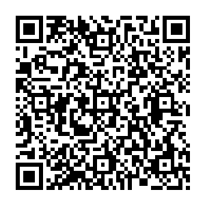 没人去管小加藤君此刻承受多大痛楚也没人去管小加藤君划开的肌肤上鲜血流淌的有多欢脱二维码生成