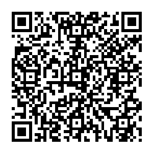 没人知道罗家为了这一次比试而花费了多大的代价而请来了暴君刀客和古于修两人二维码生成