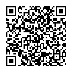 没准真得在这里花上几个小时去看一堆可能和主线剧情毫无关系的文档二维码生成