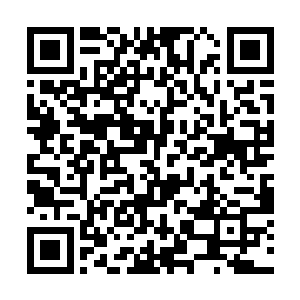 没办法从满是碎玻璃钉子碎石渣子的路上连跑带跳了二维码生成