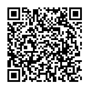 没想到……你们秦家还真是我何家的克星……老子当年没能斗得过你二维码生成