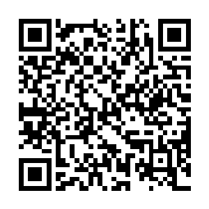 没想到上古时候能与世界树万族抗衡的人族也会退化呢二维码生成