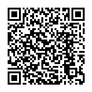 没想到今晚又一次上演――我是该庆幸自己没有再次亲眼目睹这样的惨状二维码生成