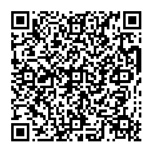 没想到你最终却成为方炎门下的一条走狗――要是上一任蛇君知道自己的弟子如此的没有骨气二维码生成