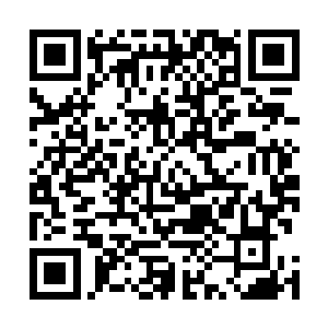 没想到你竟然…小家伙到底是在哪里找到了你这样的人的二维码生成