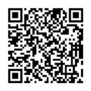 没想到其他人完成支线任务的结果会出现在自己两人面前二维码生成