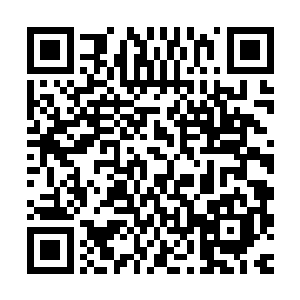 没想到姬青杨一上来就使用文王世家仅次于易道文台的八卦文台二维码生成