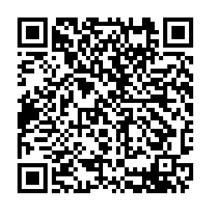 没想到定国王府的这些人竟然会真的心甘情愿的听从一个才十几岁的女子的命令二维码生成