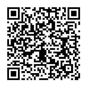 没想到所有人疯狂角逐的所谓秘宝传承竟然是真灵宗的第三代祖师设下的历练二维码生成