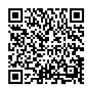 没想到火灵族竟然跟水灵族同处在一个区域实在是不敢相信二维码生成