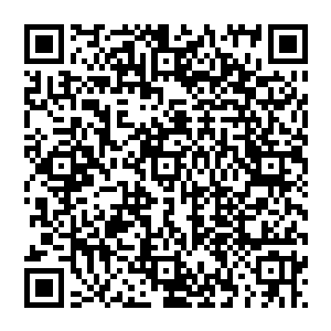 没有与魔皇一级的绝世强者交过手的人根本无法想象在魔皇那个等级的人的手上坚持一秒钟有多难二维码生成