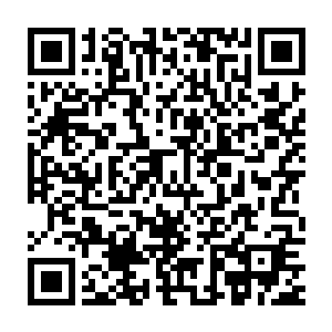 没有事做围观自家王爷和镇南王比武的人们已经开始下注赌谁输谁赢了二维码生成