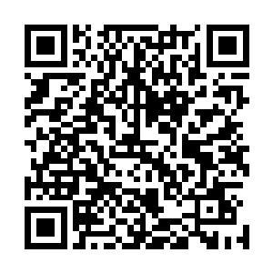 没有人在外面配合他的行动一个人根本就无法完成这个行动二维码生成