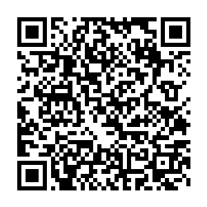没有人想到常委会会在最后一个大家觉得最不经意的议题上出现问题二维码生成