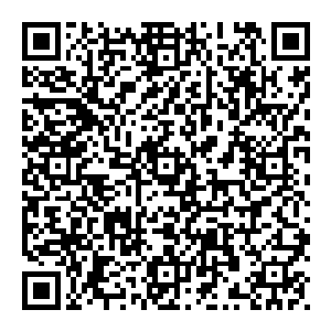 没有人敢在这里显摆自己的身份和所谓的家世以求获得特殊待遇――因为――在铁石滩打捞海蓝铁矿石记录的保持者二维码生成