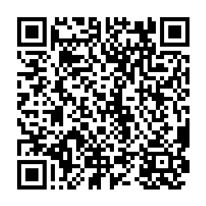 没有人看好陈长生的第二原因便是今天大朝试对战第二轮的抽签有问题二维码生成